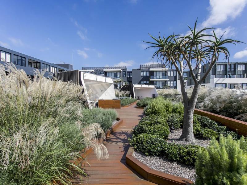 F202/72 MacDonald Street, Erskineville, NSW 2043 AUS
