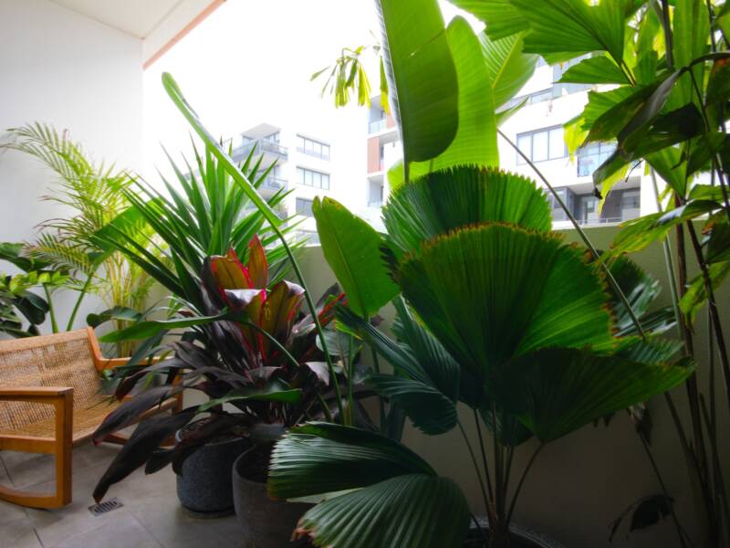 B404/72 MacDonald Street, Erskineville, NSW 2043 AUS